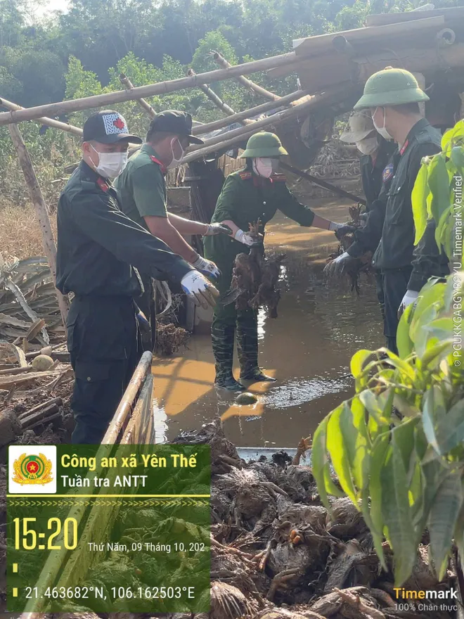 Bắc Ninh: lực lượng Công an phối hợp các lực lượng trắng đêm hộ đê Tả Cầu, bảo vệ các khu công nghiệp trọng yếu   - Ảnh 5.