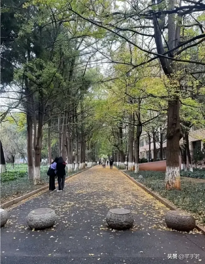 Đoàn phim của Châu Dã gặp sự cố - Ảnh 3.