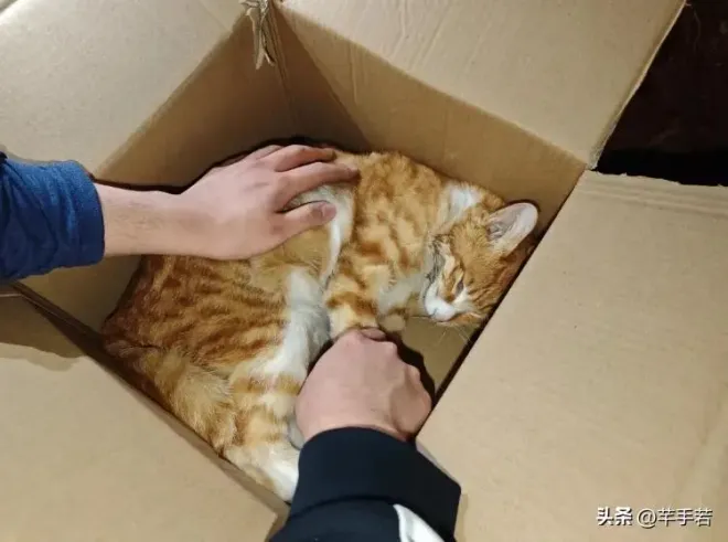 Đoàn phim của Châu Dã gặp sự cố - Ảnh 2.