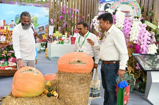 Hội chợ Mùa Thu - “Nhịp cầu thương mại” kết nối thị trường nội địa với thị trường quốc tế - Ảnh 5.