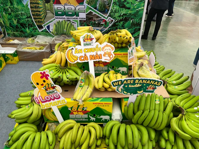 Hội chợ Mùa Thu 2025: Cầu nối đưa nông sản Việt chinh phục thị trường trong và ngoài nước - Ảnh 10.