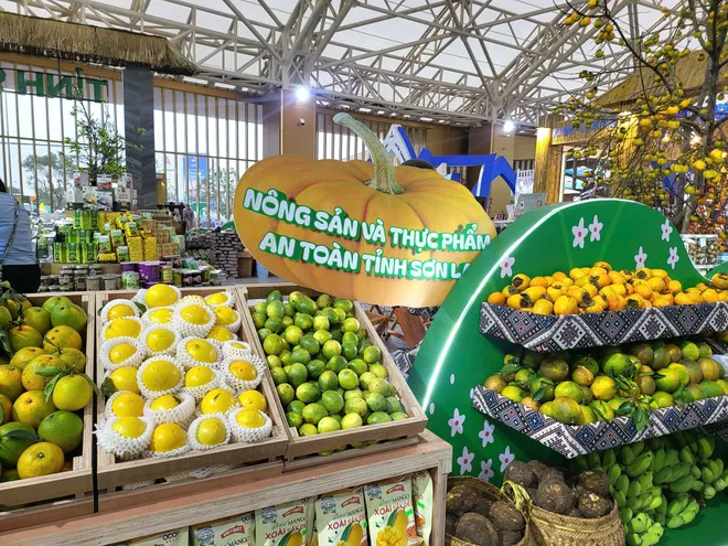 Hội chợ Mùa Thu 2025: Cầu nối đưa nông sản Việt chinh phục thị trường trong và ngoài nước - Ảnh 6.