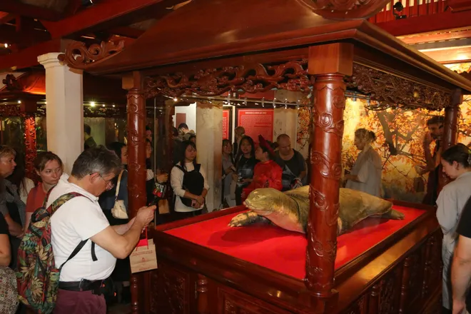 Ứng dụng công nghệ 3D mapping tại tour đêm “Ngọc Sơn - đêm huyền bí” - Ảnh 3.