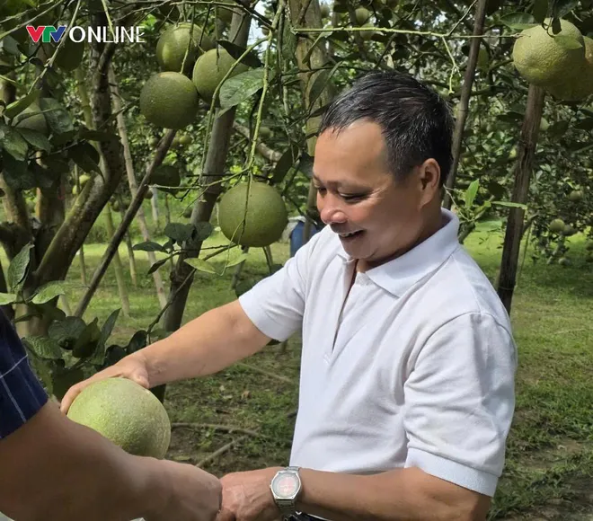 Loại quả đặc sản tiến Vua gây sốt với giá 160.000 đồng/quả - Ảnh 1.
