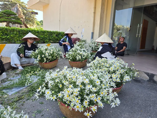 Hà Nội tất bật công tác chuẩn bị Festival Bảo tồn và Phát triển Làng nghề Quốc tế năm 2025 - Ảnh 34.