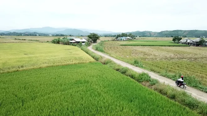 Cô giáo 9X nuôi ước mơ đến trường cho học trò vùng sâu- Ảnh 4.