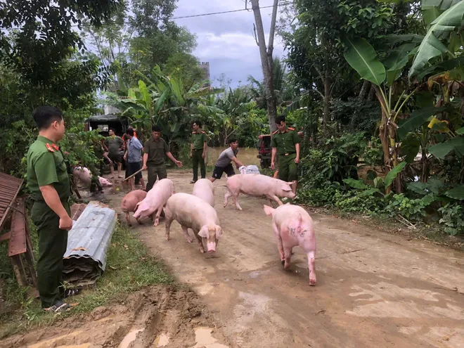 Đồng Nai: Công an sơ tán người dân vùng trũng khi thủy điện xả nước- Ảnh 6.