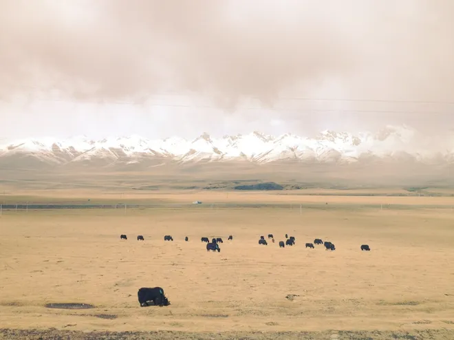 T&agrave;u tốc h&agrave;nh l&ecirc;n trời - Thi&ecirc;n đường kh&ocirc;ng ở đ&acirc;u xa- Ảnh 9.