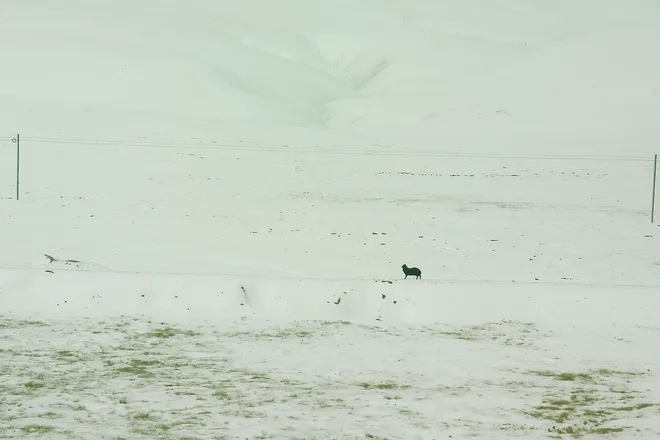 T&agrave;u tốc h&agrave;nh l&ecirc;n trời - Thi&ecirc;n đường kh&ocirc;ng ở đ&acirc;u xa- Ảnh 8.