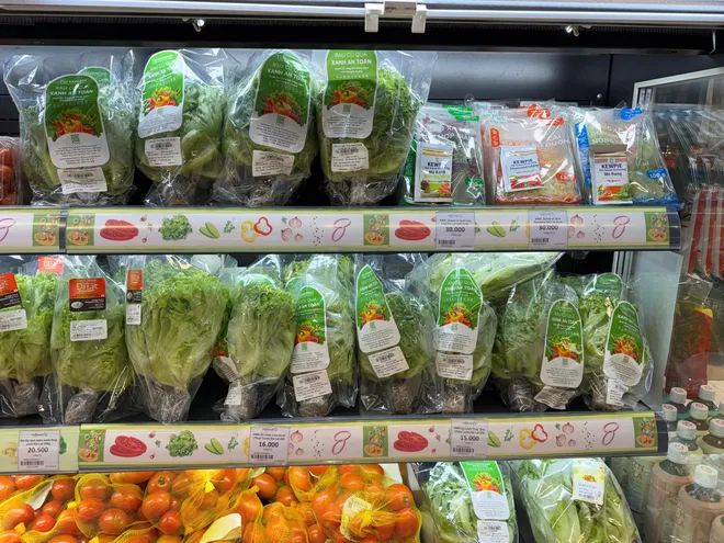 Giá rau xanh Hà Nội vẫn “neo cao”- Ảnh 3.