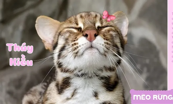 Khoảnh khắc đẹp tuần qua (24-30/11): Tình đồng bào trong giông bão- Ảnh 9. Khoảnh khắc đẹp tuần qua (24-30/11): Tình đồng bào trong giông bão- Ảnh 9.