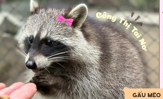 Khoảnh khắc đẹp tuần qua (24-30/11): Tình đồng bào trong giông bão- Ảnh 10. Khoảnh khắc đẹp tuần qua (24-30/11): Tình đồng bào trong giông bão- Ảnh 10.