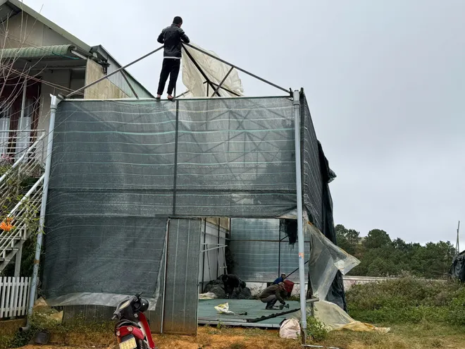 L&acirc;m Đồng: Cưỡng chế ph&aacute; dỡ 6 c&ocirc;ng tr&igrave;nh kh&ocirc;ng ph&eacute;p ở phường Xu&acirc;n Trường - Ảnh 5.