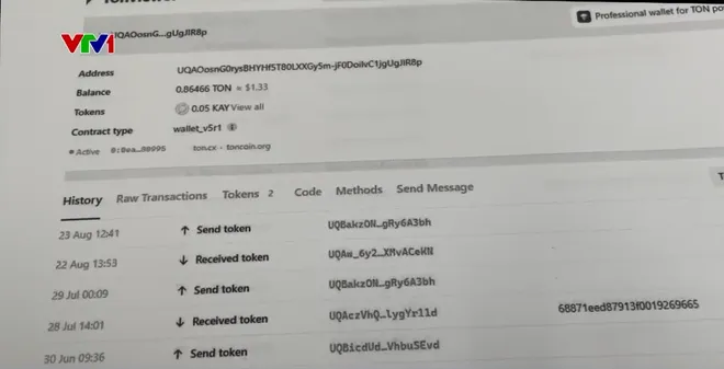 Mời gọi đầu tư tiền điện tử để chiếm đoạt tiền - Ảnh 5.