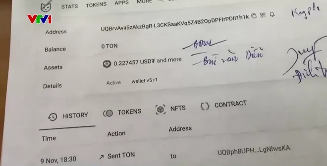 Mời gọi đầu tư tiền điện tử để chiếm đoạt tiền - Ảnh 4.