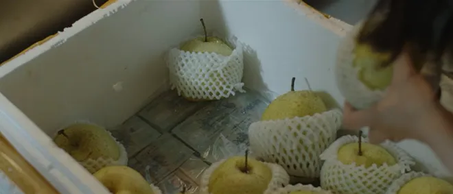 Lằn ranh - Tập 38: Nguyệt vừa khóc vừa bóc thùng tiền hối lộ - Ảnh 15.