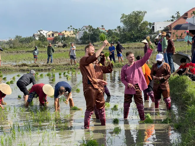 Đ&agrave; Nẵng: Kh&aacute;ch T&acirc;y h&agrave;o hứng cưỡi tr&acirc;u, "lội b&ugrave;n" cấy l&uacute;a tại Lễ hội xuống đồng 2026 - Ảnh 3.