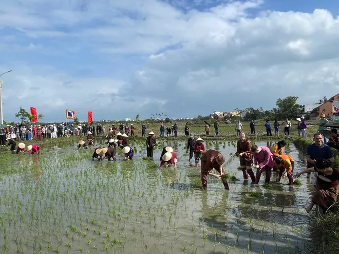 Đ&agrave; Nẵng: Kh&aacute;ch T&acirc;y h&agrave;o hứng cưỡi tr&acirc;u, "lội b&ugrave;n" cấy l&uacute;a tại Lễ hội xuống đồng 2026 - Ảnh 6.