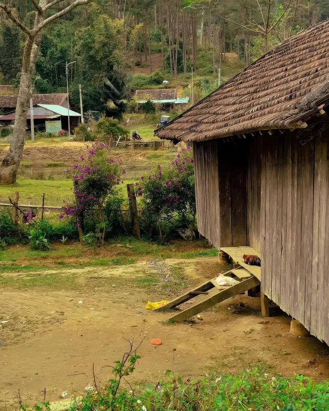 Chuyến đi đầu năm- Ảnh 4.