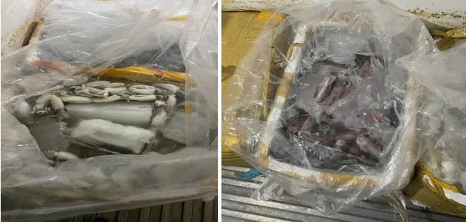 Tạm giữ hơn 580 kg thủy sản kh&ocirc;ng r&otilde; nguồn gốc tại Đồng Nai- Ảnh 2.