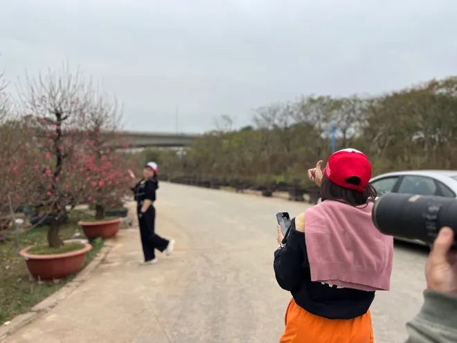 Ngỡ ng&agrave;ng d&agrave;n "l&atilde;o đ&agrave;o" T&acirc;y Bắc xuống phố Thủ đ&ocirc;, gi&aacute; thu&ecirc; h&agrave;ng chục triệu đồng mỗi gốc - Ảnh 8.