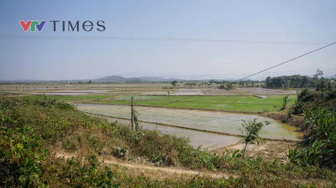 &ldquo;Sống sau lũ&rdquo; khảo s&aacute;t nhu cầu phục hồi sinh kế của người d&acirc;n tại c&aacute;c địa phương chịu thiệt hại của thi&ecirc;n tai- Ảnh 15.