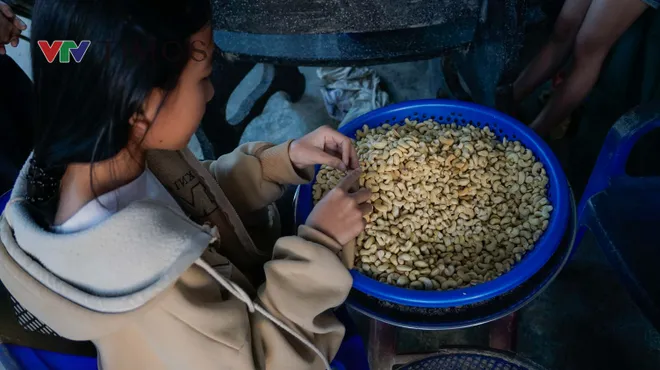 &ldquo;Sống sau lũ&rdquo; khảo s&aacute;t nhu cầu phục hồi sinh kế của người d&acirc;n tại c&aacute;c địa phương chịu thiệt hại của thi&ecirc;n tai- Ảnh 6.