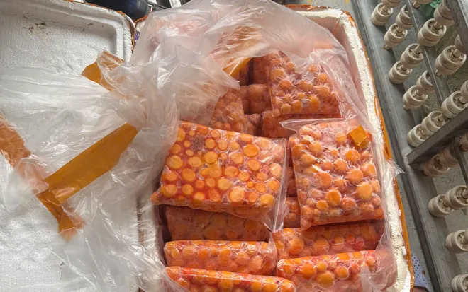 Cận Tết, phát hiện 3 container thực phẩm “bẩn” tập kết tại xã Thanh Trì, Hà Nội- Ảnh 2. Cận Tết, phát hiện 3 container thực phẩm “bẩn” tập kết tại xã Thanh Trì, Hà Nội- Ảnh 2.