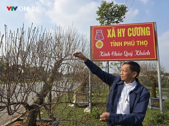 Ph&uacute; Thọ: L&agrave;ng đ&agrave;o Nh&agrave; N&iacute;t tất bật trước thềm Tết Nguy&ecirc;n đ&aacute;n - Ảnh 5.