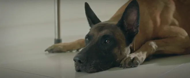 Đồng hồ đếm ngược - Tập 3: Th&agrave;nh l&aacute;i xe g&acirc;y tai nạn giao th&ocirc;ng, bị bạn th&acirc;n v&agrave; người y&ecirc;u cắm sừng- Ảnh 27.