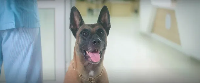 Đồng hồ đếm ngược - Tập 4: Th&agrave;nh c&oacute; si&ecirc;u năng lực sau khi tự tử bất th&agrave;nh- Ảnh 1.