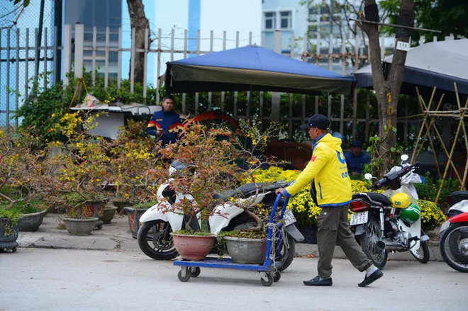 Phố phường Thủ đ&ocirc; rực rỡ sắc xu&acirc;n, người d&acirc;n bắt đầu rục rịch sắm Tết - Ảnh 7.