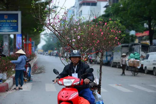 Phố phường Thủ đ&ocirc; rực rỡ sắc xu&acirc;n, người d&acirc;n bắt đầu rục rịch sắm Tết - Ảnh 6.