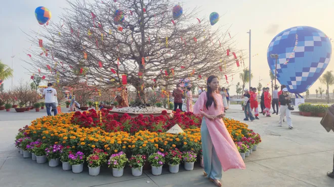 C&acirc;y mai 150 tuổi h&uacute;t kh&aacute;ch check in tại TP Hồ Ch&iacute; Minh - Ảnh 3.