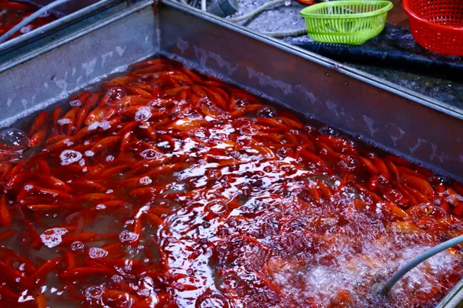 Gi&aacute; c&aacute; ch&eacute;p giảm, tiểu thương đội mưa tất bật s&aacute;t ng&agrave;y &ocirc;ng C&ocirc;ng &ocirc;ng T&aacute;o - Ảnh 10.