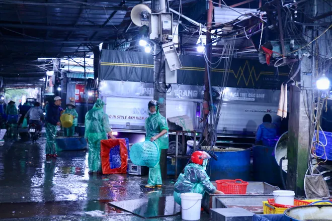 Gi&aacute; c&aacute; ch&eacute;p giảm, tiểu thương đội mưa tất bật s&aacute;t ng&agrave;y &ocirc;ng C&ocirc;ng &ocirc;ng T&aacute;o - Ảnh 7.