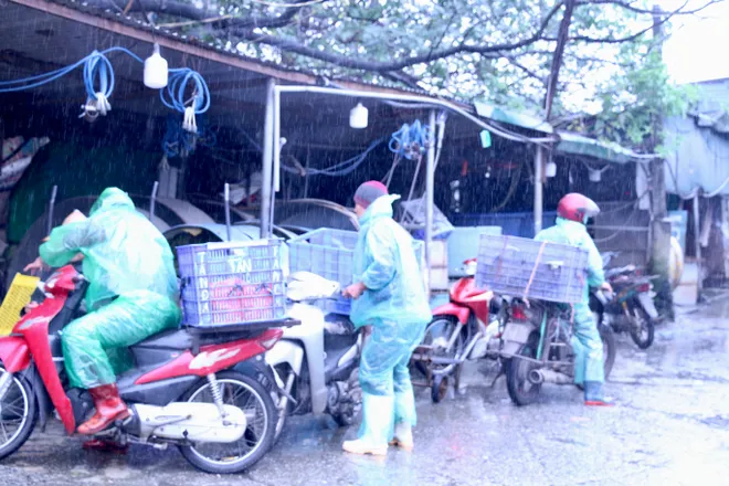 Gi&aacute; c&aacute; ch&eacute;p giảm, tiểu thương đội mưa tất bật s&aacute;t ng&agrave;y &ocirc;ng C&ocirc;ng &ocirc;ng T&aacute;o - Ảnh 6.