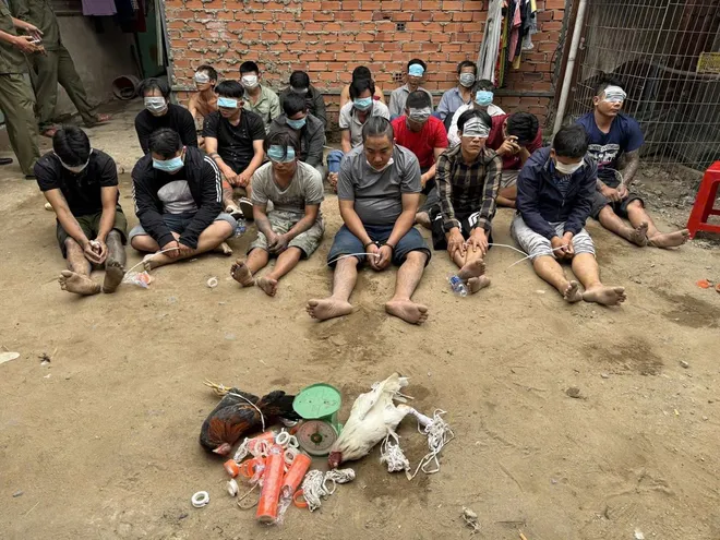 Gi&aacute;p Tết, C&ocirc;ng an TP Hồ Ch&iacute; Minh x&oacute;a 10 tụ điểm cờ bạc "đ&aacute; g&agrave;" - Ảnh 4.