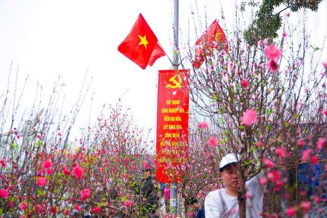 Phố phường Thủ đ&ocirc; ngập tr&agrave;n sắc xu&acirc;n  - Ảnh 30.