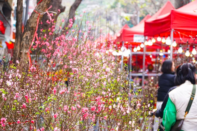 Phố phường Thủ đ&ocirc; ngập tr&agrave;n sắc xu&acirc;n  - Ảnh 7.