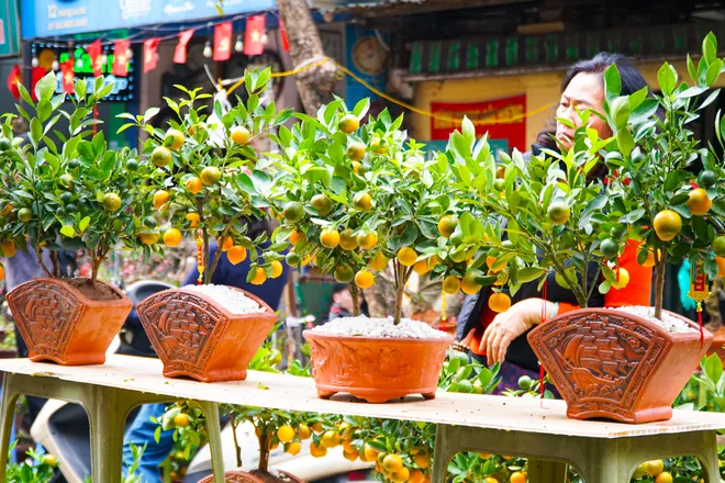 Phố phường Thủ đ&ocirc; ngập tr&agrave;n sắc xu&acirc;n  - Ảnh 9.