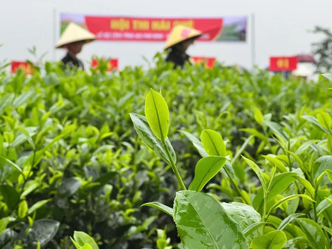 S&ocirc;i nổi hội thi h&aacute;i ch&egrave; v&agrave; h&aacute;t Then tại v&ugrave;ng c&aacute;ch mạng ATK Định H&oacute;a - Ảnh 11.