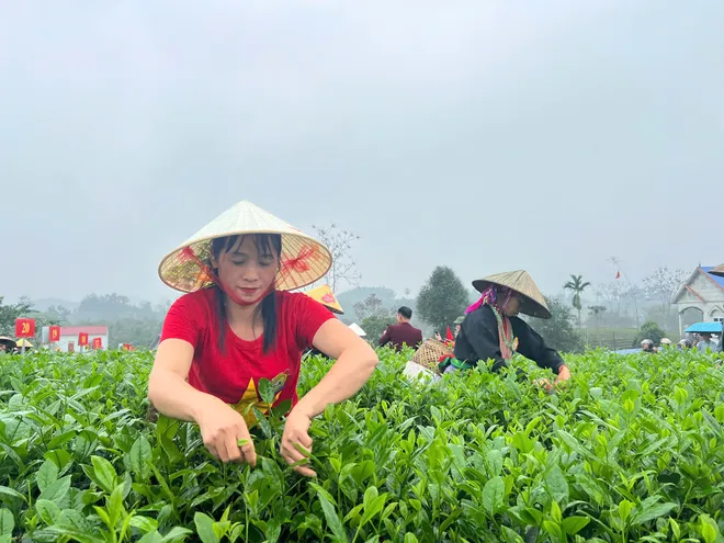 Vui h&aacute;i ch&egrave; dưới tiếng đ&agrave;n T&iacute;nh giữa đất trời ATK- Ảnh 7.