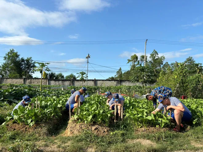 V&ugrave;ng 3 Hải qu&acirc;n: Trang trọng, chu đ&aacute;o tiếp nhận chiến sĩ mới năm 2026 - Ảnh 3.