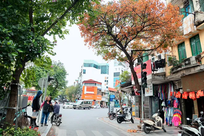 H&agrave; Nội Những Ng&agrave;y Giao M&ugrave;a: Sắc V&agrave;ng, Sắc Đỏ "Thắp S&aacute;ng" Phố Phường Th&aacute;ng 3 - Ảnh 3.