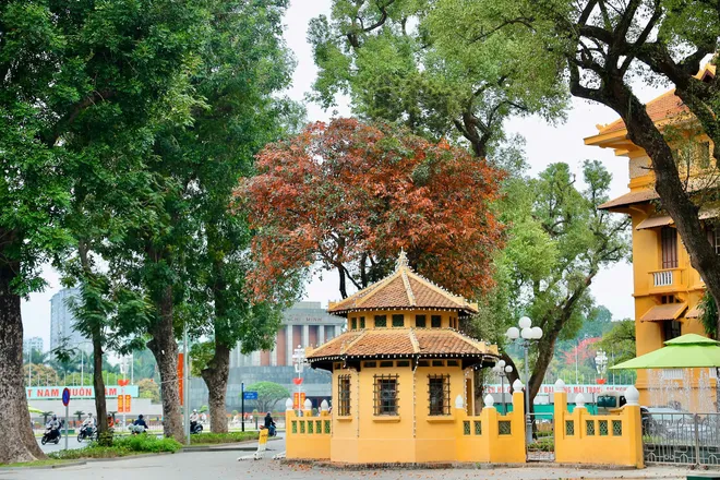 H&agrave; Nội Những Ng&agrave;y Giao M&ugrave;a: Sắc V&agrave;ng, Sắc Đỏ "Thắp S&aacute;ng" Phố Phường Th&aacute;ng 3 - Ảnh 5.