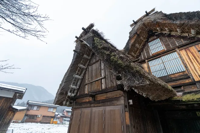 Kh&aacute;m ph&aacute; Shirakawa-go: Di sản sống giữa l&ograve;ng thung lũng sương m&ugrave;- Ảnh 7.