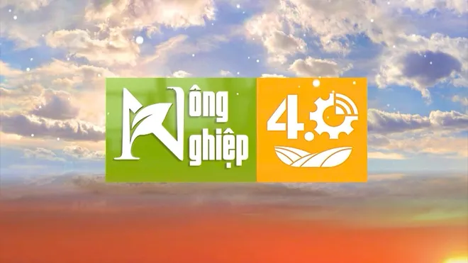 VTV10 viết tiếp chặng đường mới từ VTV Cần Thơ - Ảnh 5.