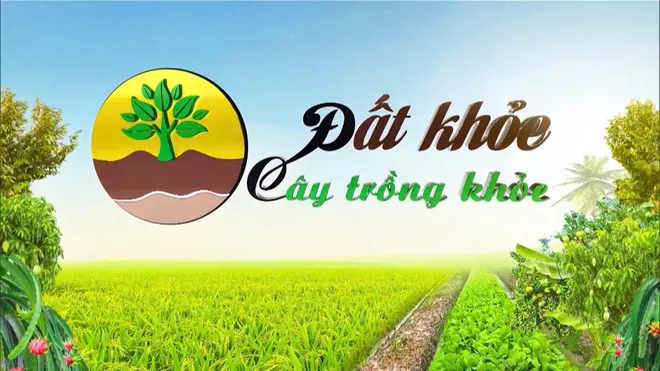 VTV10 viết tiếp chặng đường mới từ VTV Cần Thơ - Ảnh 2.