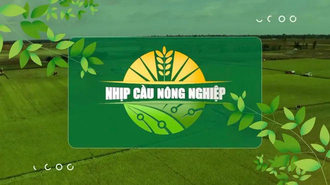 VTV10 viết tiếp chặng đường mới từ VTV Cần Thơ - Ảnh 3.